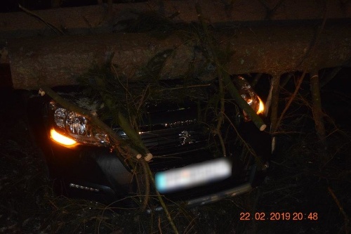 Na vozidlo Peugeot Partner spadli dva stromy