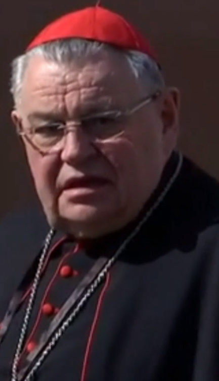 Kardinál Duka považuje rozruch za hystériu
