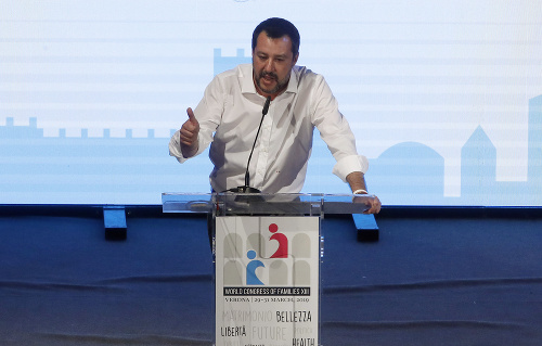 Matteo Salvini na Svetovom kongrese rodín vo Verone.