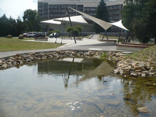 Jazierko na zrážkovú vodu, Technická univerzita vo Zvolene