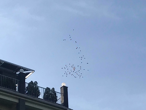 Hostia na svadbe Jasminy a Rytmusa vypúšťali srdiečkové balóny.