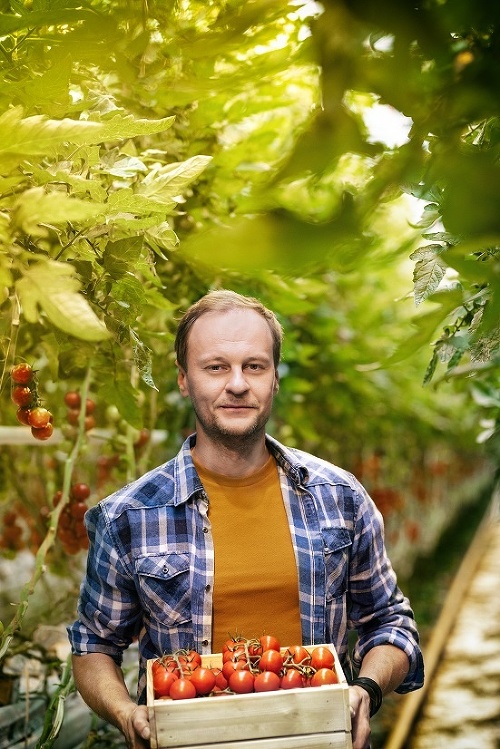 Cherry paradajky – moderná