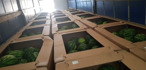 V kamióne s melónmi