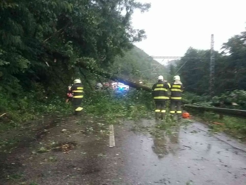 Do spadnutého stromu na železničnej trati v katastri obce Hronská Dúbrava narazil v nedeľu večer rýchlik smerujúci do Bratislavy.
