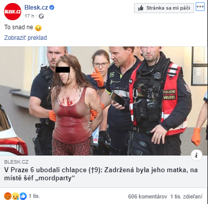 O prípade informovali viaceré české médiá. Žena skončila v rukách polície celá od krvi.