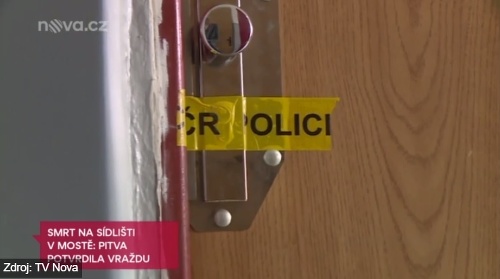 Českí kriminalisti vyšetrujú násilnú