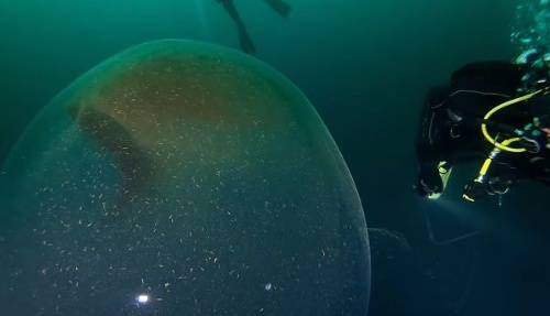 VIDEO Potápači hlboko v