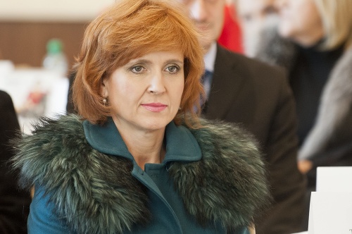 Jednou z osôb, ktorá stojí za agentúrou je bývalá starostka bratislavskej časti Staré mesto Tatiana Rosová za (SDKÚ)