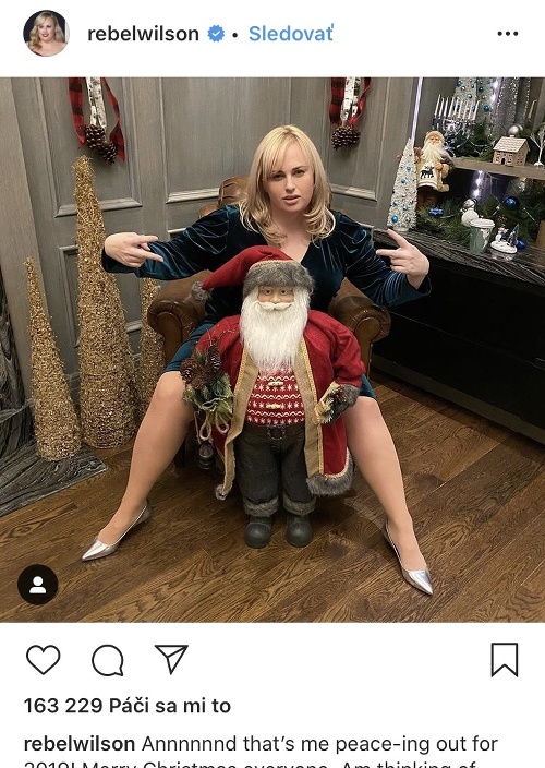 Herečka Rebel Wilson zverejnila pri príležitosti Vianoc takúto fotku. 