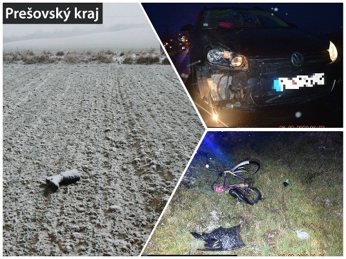 Slovensko opäť zasypal sneh: