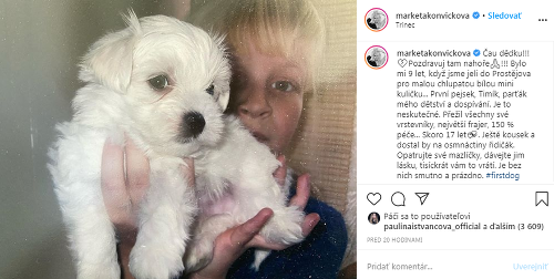 Markéta Konvičková prišla o milovaného psíka. 