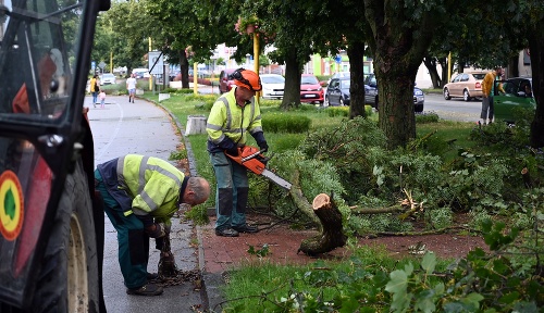 Pracovníci Technických služieb pília popadané stromy po búrke a silnom vetre na ulici M.R. Štefánika v Trebišove