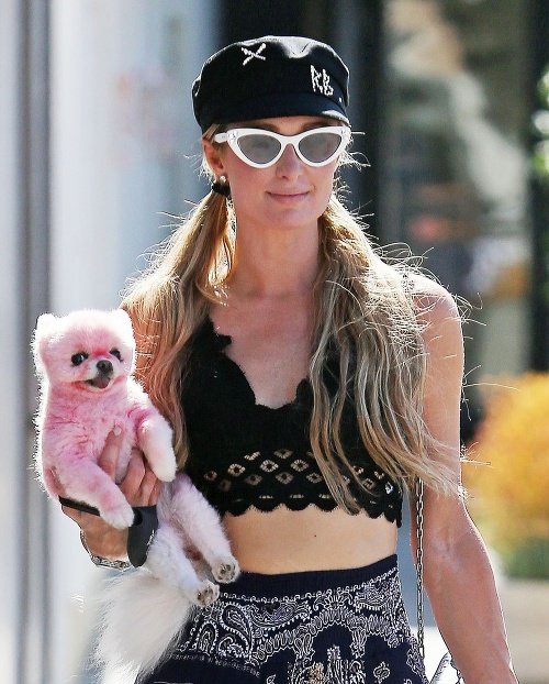Paris Hilton sa po uliciach Los Angeles premávala s ružovým psom.