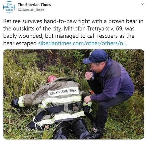 Útok medveďa na severovýchode