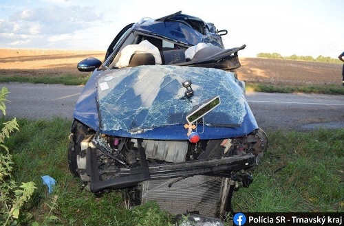 Vodič zo Srbska zahynul