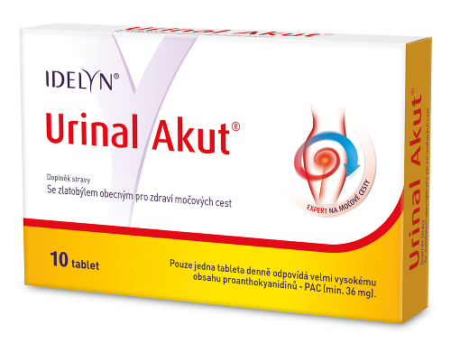 Zápal močových ciest –