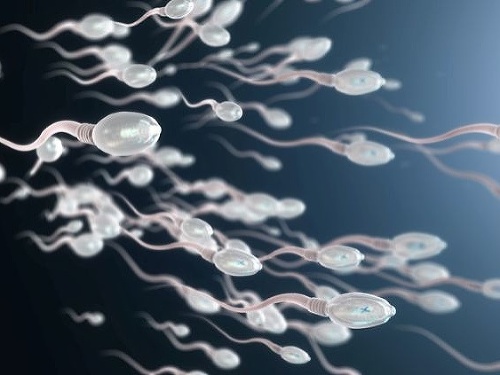 Vedci varujú pred spermagedonom: