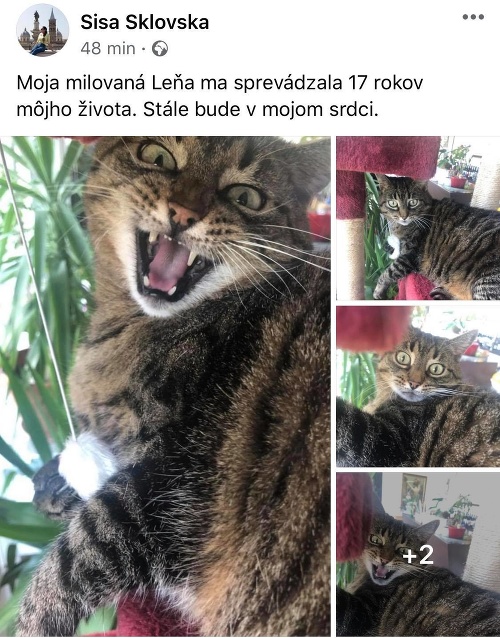 Sisa Lelkes Sklovská pridala ešte niekoľko fotiek svojej mačky Lene, ktorá jej robila spoločnosť dlhých 17 rokov.