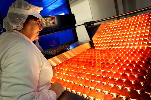 Reprezentatívny prieskum hovorí jasne: