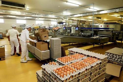 Reprezentatívny prieskum hovorí jasne: