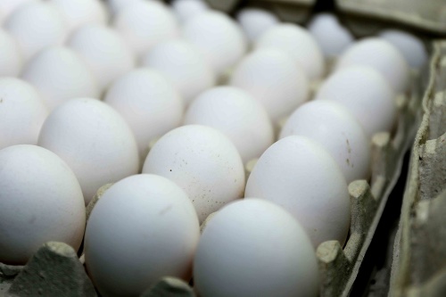 Reprezentatívny prieskum hovorí jasne: