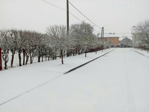 Slovensko sa dočkalo snehovej