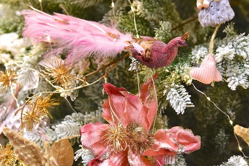 Predvianočnú Bratislavu spríjemnia Dni