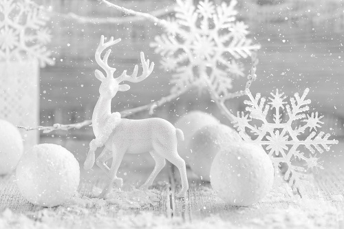 Vianoce v bielom šate