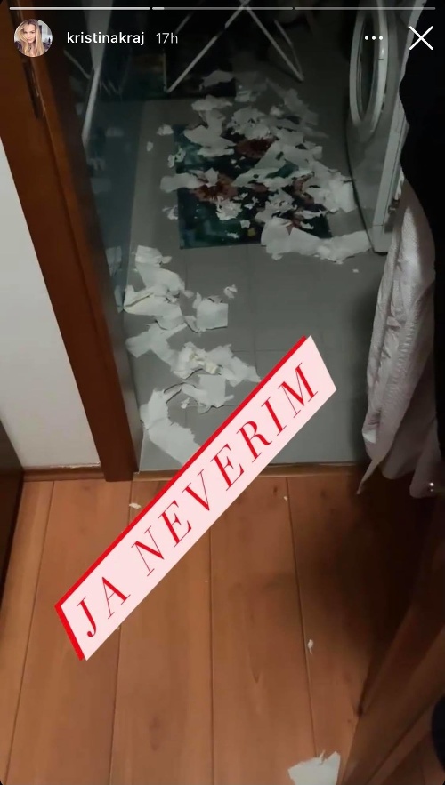 Toaletný papier bol roztrhaný a roznesený po celom byte. 