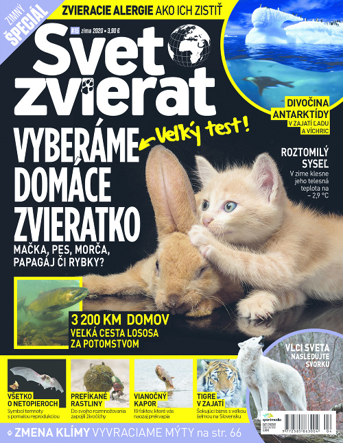 Vianočné darčeky pre celú