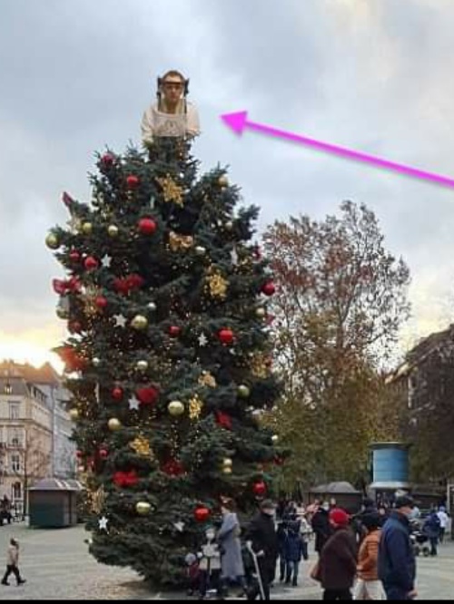 FOTO Vianočný stromček v