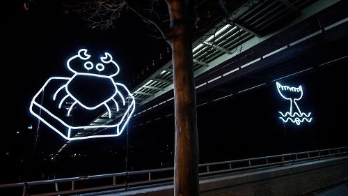 Biela noc v Bratislave