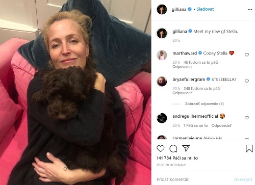 Gillian Anderson a jej nový miláčik. 