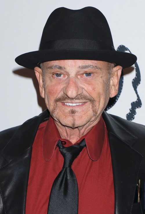 Next photo of Joe Pesci