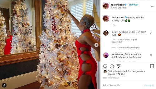 Toni Braxton zdobila vianočný stromček v takýchto provokatívnych šatách.