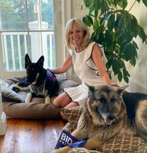 Bidenova manželka s oboma psíkmi.