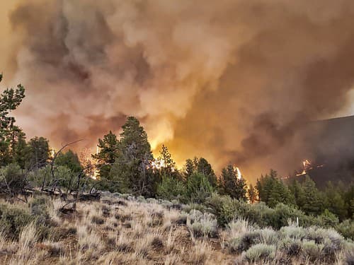 Lesné požiare bičujú západ