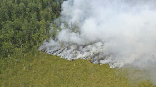 Lesné požiare na ruskom