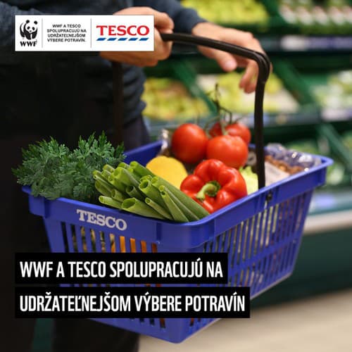 Tesco a WWF spájajú