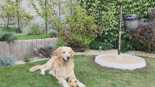 Eko toaleta pre psy.