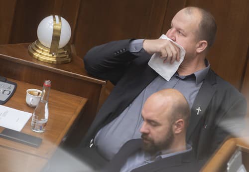 Peter Krupa si prekrýva tvár len vreckovou, dole poslanec Andrej Medvecký, ktorý nemá respirátor. 