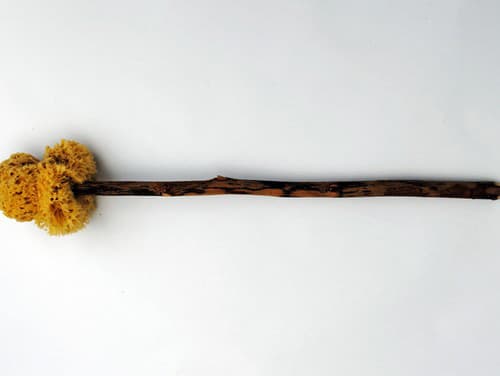 Špongia na paličke starých