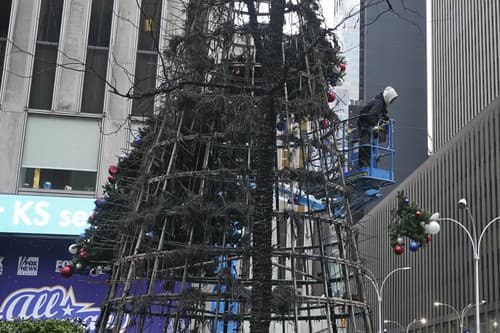 Zhorený obrovský vianočný stromček