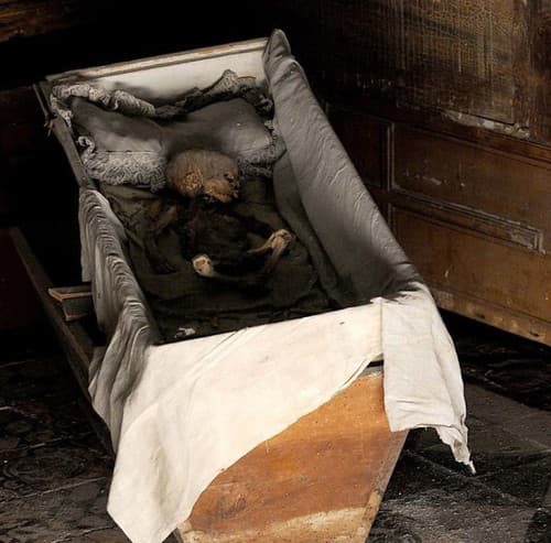 FOTO Záhada múmií v