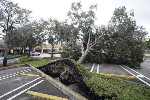 Vyvrátený strom leží na parkovisku pred obchodným centrom v meste Cooper City na Floride.