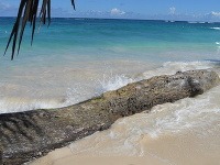 Pláž v Dominikánskej republike
František