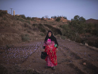 OBRAZOM z marockého Atlasu: Za najdrahšou koreninou sveta je obrovská drina