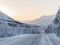 Studenou Sibírou vedie Cesta kostí: Ukrýva státisíce mŕtvol