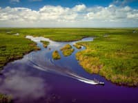 Everglades - tajomné močariská známe z filmov i seriálov