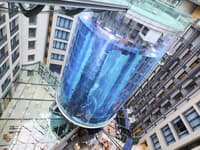 Katastrofa v Berlíne: Prasklo údajne najväčšie cylindrické akvárium na svete